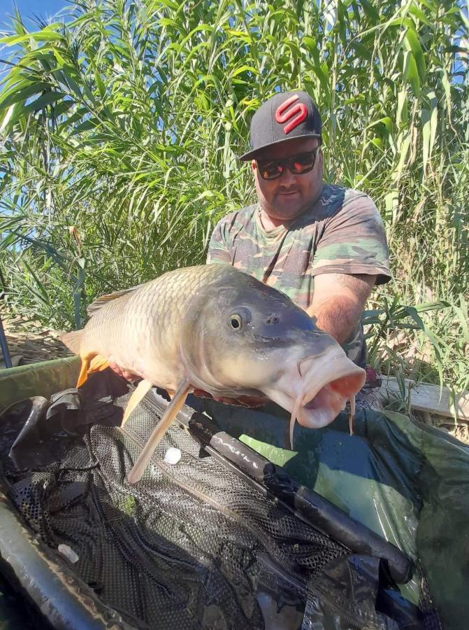 R U Ready Fishing, River Ebro Мекиненса Экстерьер фото