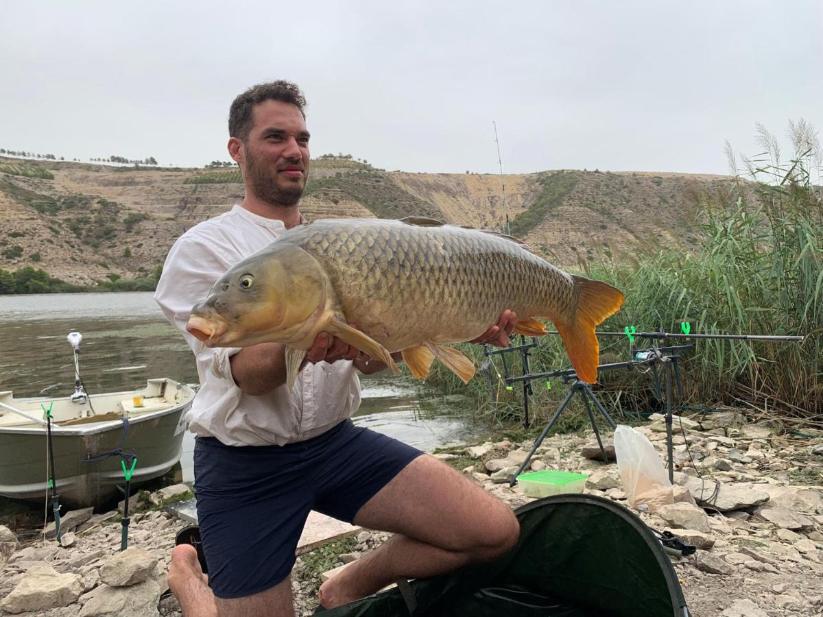R U Ready Fishing, River Ebro Мекиненса Экстерьер фото